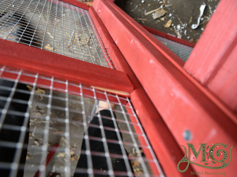 Old Red Barn 2 Prefabricated Chicken Coop Review Misfit Gardening